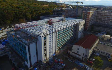 Infografie: Structura centru neonatal Târgu Mureș
