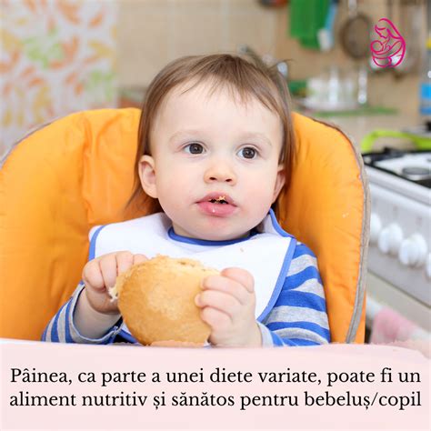 Infografic: structura nutritivă a dovlecelului în alimentația bebelușului