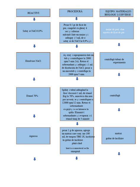 Diagrama flux operație artroscopie