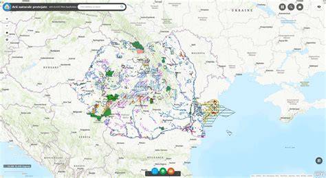 Harta interactivă a platformelor de video-sharing și a rolurilor utilizatorilor (creator, curator, spectator)