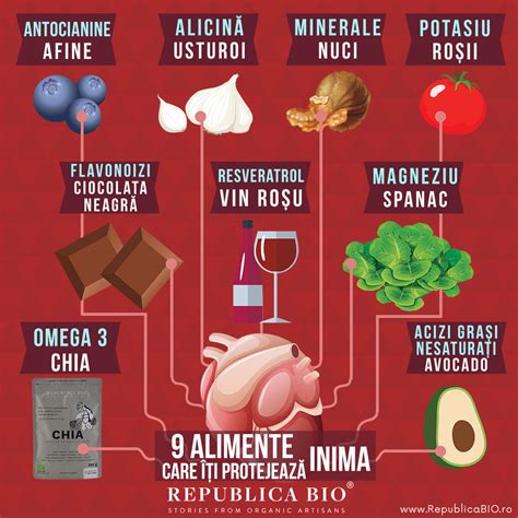 Infografic despre alimente benefice pentru digestie