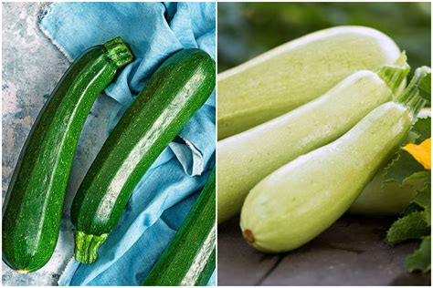 Infografic: Comparativ zucchini vs dovlecel (culori, texturi, timp de gătire, utilizări)