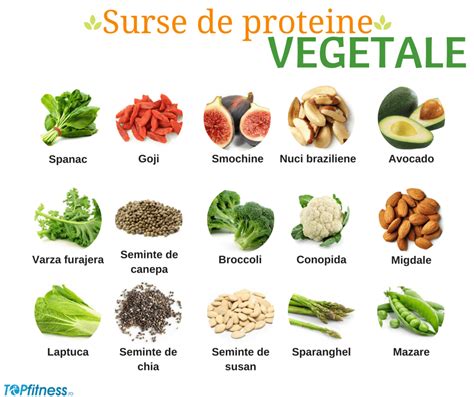 Infografic: Surse proteine vegetariene pentru copii