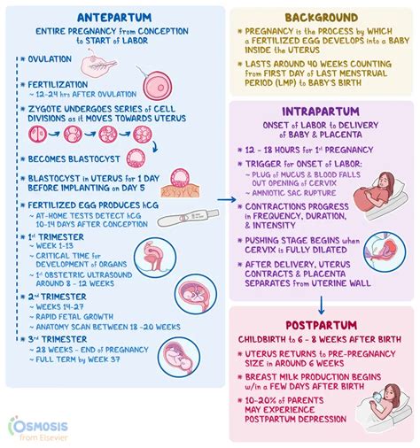 Fluxuri de monitorizare antepartum, intrapartum si postpartum pentru trombofilie