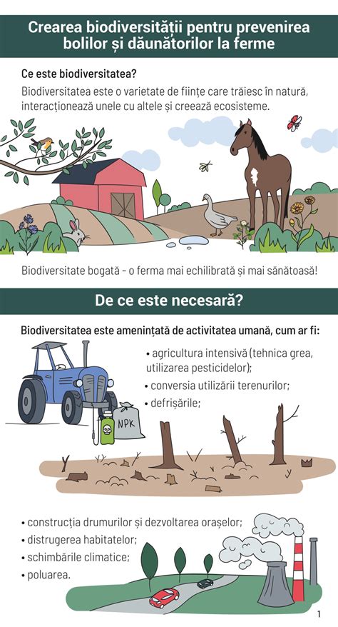 Infografic despre prevenirea bronsiolitei