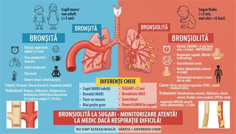 Tabel comparativ: Bronsiolita vs. Bronsita