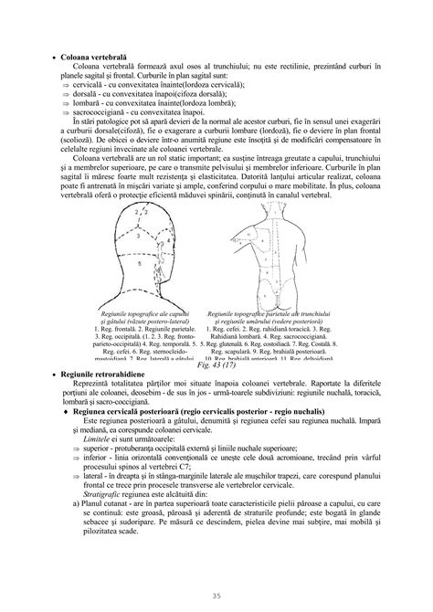 Bebeluș în poziție occipitală anterioară