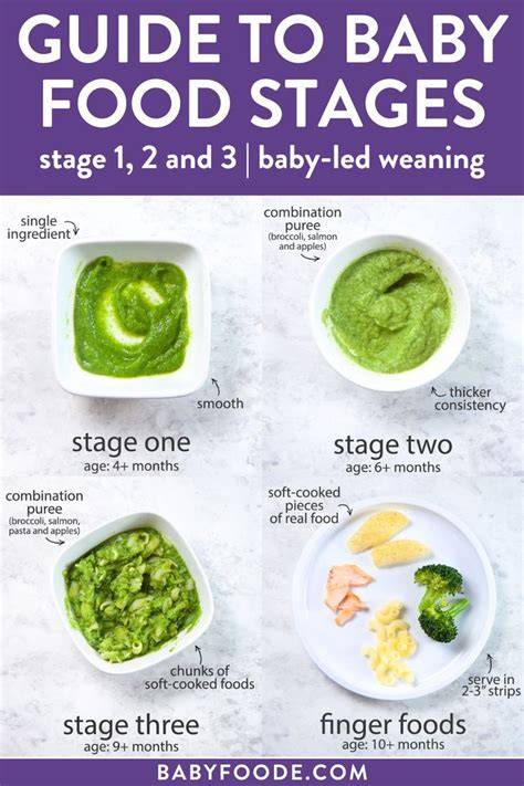 Scheme of stages of diversification with key foods and milestones