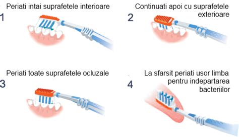 Ilustrație cu tehnica corectă de periaj dentar la copii