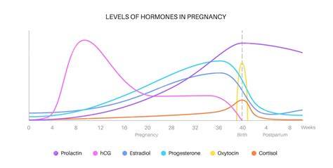 Diagrame: mecanisme posibile ale disgravidiei emetizante (hCG, estrogeni, progesteron, sistem emetic)