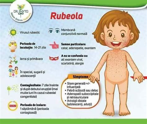 Infografic: diagrame despre boli ale copilăriei, vaccinări și prevenție