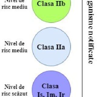 Infografic: Clasificarea anticorpilor anti-eritrocitari în funcție de risc pentru HDFN