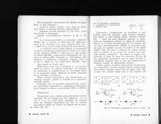 Schemă p-n: fluxuri de difuzie şi deriva la joncţiune