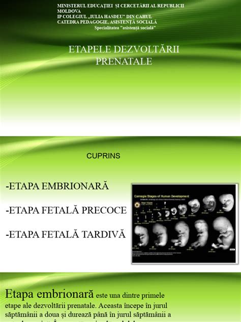 Infografic: etapele ecografice prenatale în trimestrul II (morfologie, lichid amniotic, plută, măsurători) - cum se combină cu markerii biochimici