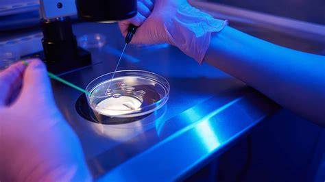 Infografic proces fertilizare in vitro si stadii embrionare
