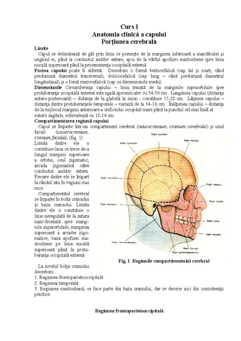 Schema de proporții a corpului feminin pe baza capului × 8