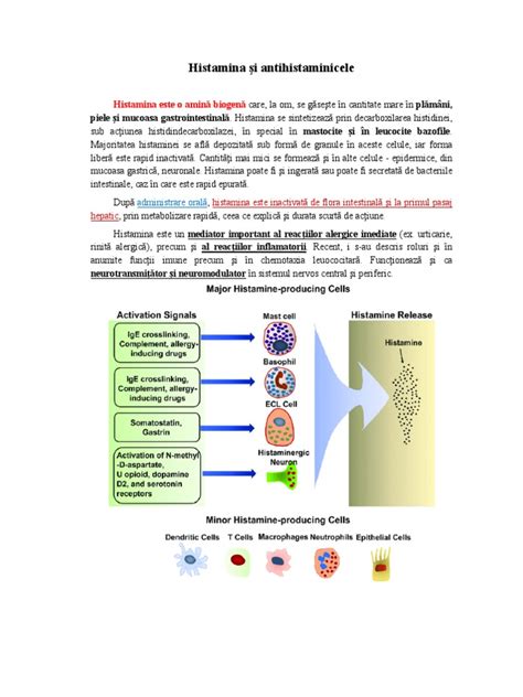 Infografic: mecanismul urticariei si rolul histaminei in piele