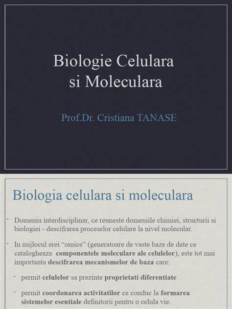 Imagine demonstrand separarea celulara si procesarea volumelor mici