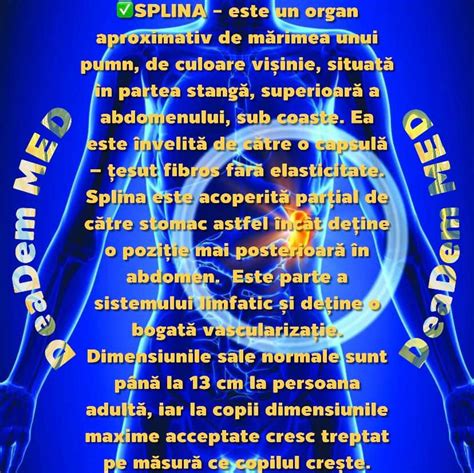Infografic: localizarea splinei și relațiile anatomice în abdomen