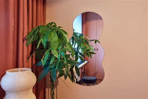Decor pereți dormitor plante oglinda