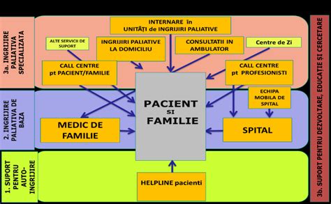 Infografic: structura echipei paliative multidisciplinare