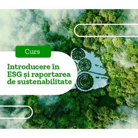 Infografic: Fluxul sponsorizarilor si raportarea D107