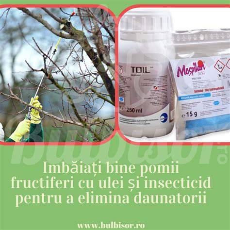 Infografic: Soluri potrivite pentru pomii fructiferi în semiumbră