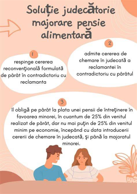Infografic: Flux procesual pensie de întreținere