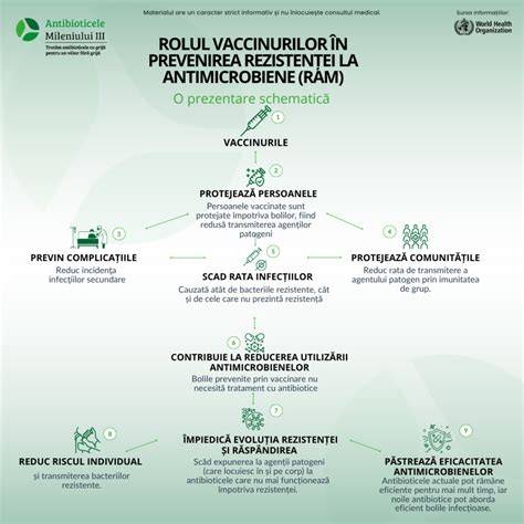Diagrama riscurilor vaccinurilor în sarcină