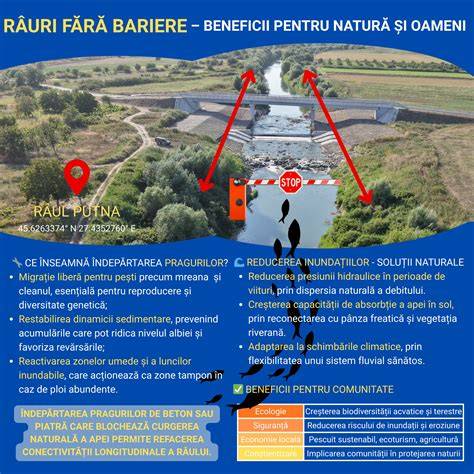 Infografic - Protecția pielii bebelușului: bariere naturale și factori iritanți