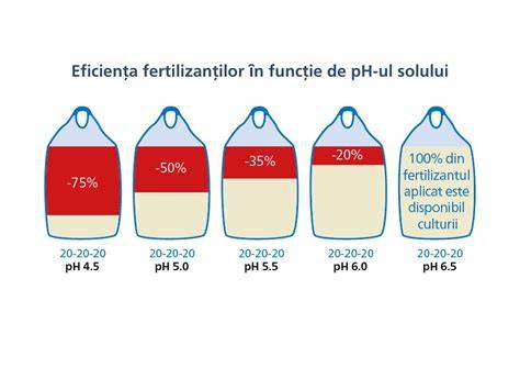 Infografic despre factorii care influențează fertilitatea solului: CEC, pH, humus, salinitate