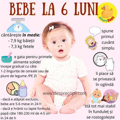 Infografic: Cronologia diversificarii de la 4 la 6 luni, principalele etape si alimente recomandate