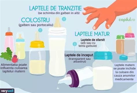 Infografic: etapele laptelui matern (colostru, tranzitie, matur)