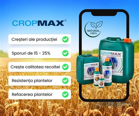Schema gestiunii nutriției mieilor (fază de creștere și înțăcare)