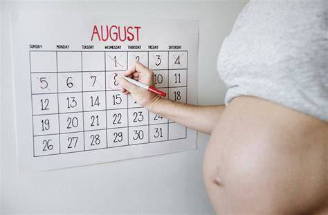 Infografic: Cum se masoara varsta sarcinii de la prima zi a ultimei menstruatii