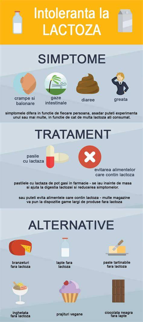 Infografic: cum interactioneaza lactoza cu lactaza in organism