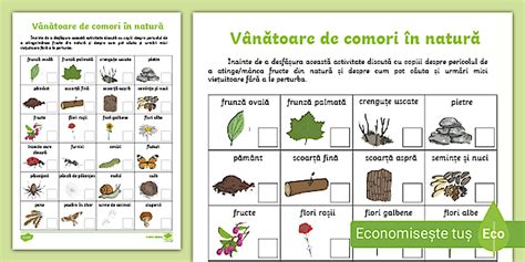 vânătoare de comori anunț sarcină pentru copii