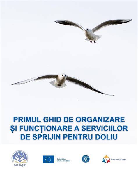 Infografic: etape ale pierderii sarcinii și sprijinul disponibil