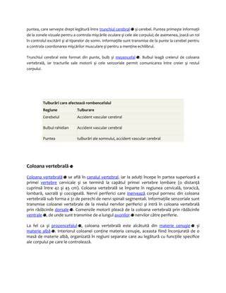 Schema comparației între zonele principale: somn, schimbare, joacă