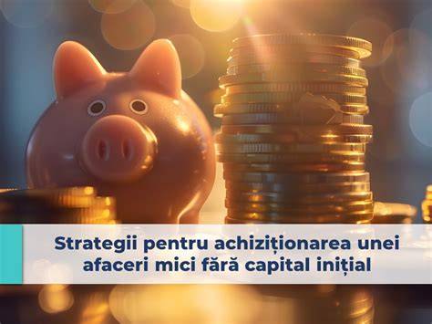 Infografic: „Pilonii unei afaceri de acasă pentru mămici”