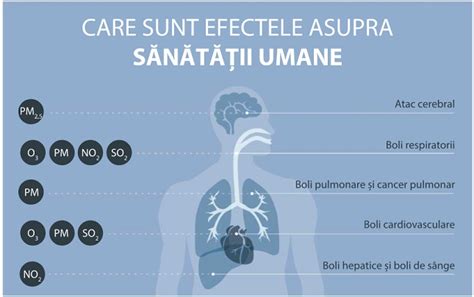 Infografic: Plafonarea sarcinii de vârf, surse și efecte asupra costurilor