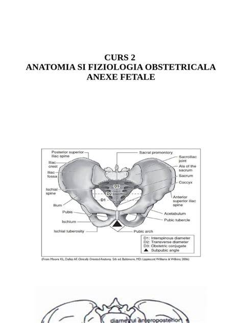 Imagine infografic: mecanismele pruritului si colestaza obstetricala