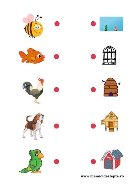 Diagramă: Criterii de potrivire între copilul adoptabil și adoptator