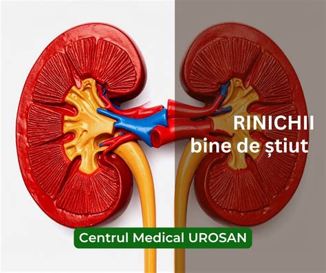 Infografic: semne de alăptare corectă și probleme obișnuite