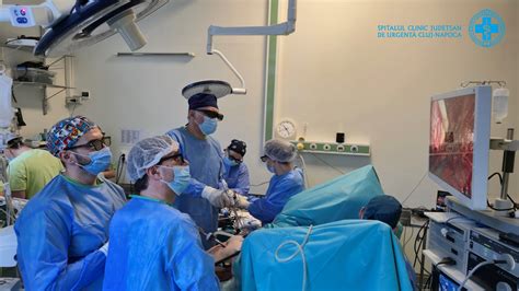 Vizualizare a unei incizii chirurgicale la nivel abdominal la o bovină