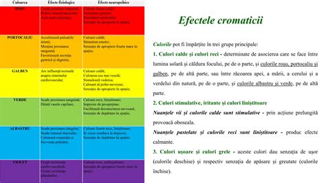Infografic: etapele învățării culorilor, alfabetizării și numerelor la vârsta 2-4 ani
