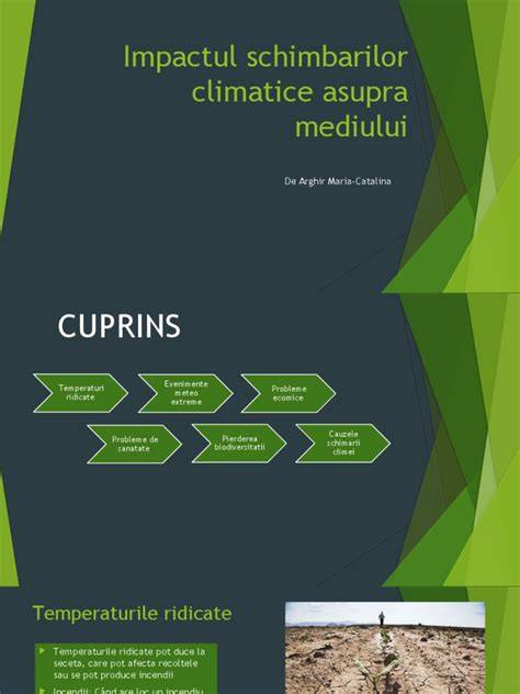 Infografic: functionarea Twist & Click si impactul asupra mirosurilor