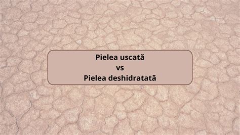 Infografic: Diferența dintre pielea uscată și cea hidratată și rolul filmului hidrolipidic