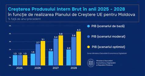 Infografic: Etapele dezvoltării fatului în trimestrul trei