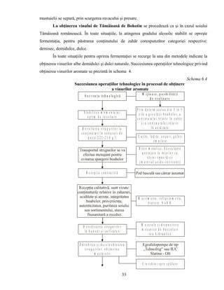 Schema decizionala privind metodele de epilare in timpul sarcinii